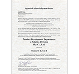 CMMI Level3