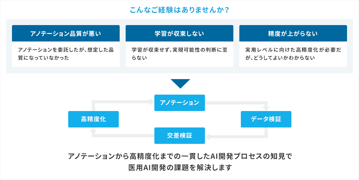 アノテーションから高精度化まで一貫したAI開発プロセスの知見で医用AI開発の課題を解決します