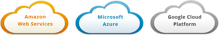 Amazon Web Services/Microsoft Azure/Google Cloud Platform