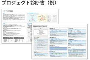 プロジェクト診断書（例）